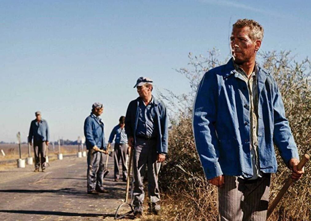 #86. Cool Hand Luke (1967)